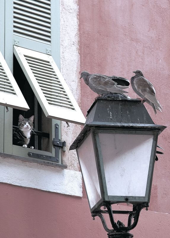 23秒改变一切！厄瓜多尔绝境翻盘，加维用一粒进球宣告新时代降临