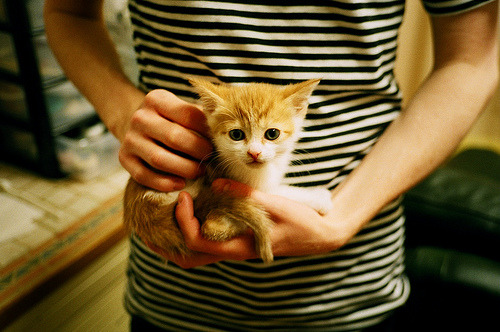 开云官网-冰岛铁壁与洪都拉斯困局，解析阿劳霍如何成为对手无解的战术噩梦